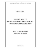 Luận án Tiến sĩ Kinh tế: Liên kết kinh tế giữa doanh nghiệp và hộ nông dân ở vùng đồng bằng Sông Hồng