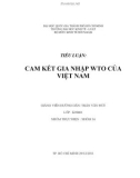 TIỂU LUẬN: CAM KẾT GIA NHẬP WTO CỦA VIỆT NAM