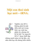 Một con thoi sinh học mới – tRNA.