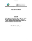 Dự án khoa học: Reducing pesticide resides, improving yield, quality and marketing of vegetables crops in Northern Central Vietnam through improved varieties, GAP principles and farmer focused training (Fifth Six-Monthly Repor)