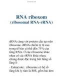 RNA riboxom