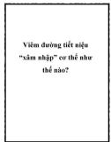 Viêm đường tiết niệu 'xâm nhập' cơ thể như thế nào?