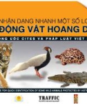 Nhận dạng nhanh một số loài động vật hoang dã