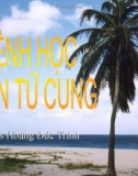 BỆNH HỌC THÂN TỬ CUNG