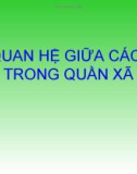 Mối quan hệ giữa các loài trong quần xã