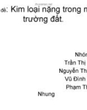 Kim loại nặng trong môi trường đất