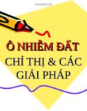 Ô nhiễm đất chỉ thị và các giải pháp