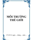 Môi trường thế giới