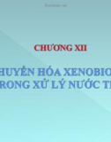 CHUYỂN HÓA XENOBIOTIC TRONG XỬ LÝ NƯỚC THẢI