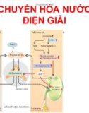 CHUYỂN HÓA NƯỚC ĐIỆN GIẢI