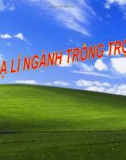 Bài giảng Địa lý ngành trồng trọt - ThS. Hoàng Việt Anh