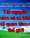 Tài nguyên nấm và cỏ biển Môi quan tâm của thế giới