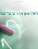 ĐỘC TỐ VI NẤM (MYCOTOXIN)