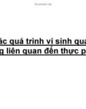 Các quá trình vi sinh quan trọng liên quan đến thực phẩm