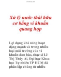 Xử lý nước thải hữu cơ bằng vi khuẩn quang hợp