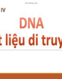 Bài giảng chương 4: DNA Vật liệu di truyền