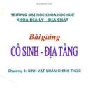 Bài giảng Cổ sinh địa tầng - Chương 3: Sinh vật nhân chính thức