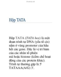 Hộp TATA