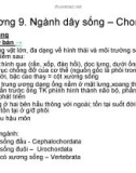 Giáo trình Sinh học - Ngành dây sống, Chordata