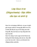 Lớp Giun ít tơ (Oligochaeta) - Đặc điểm cấu tạo và sinh lý