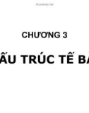 Bài giảng Sinh học đại cương (Phần 1): Chương 3 - ThS. Võ Thanh Phúc