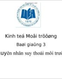 Bài giảng: Nguyên nhân suy thoái môi trường