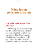 Năng lượng (Điều chỉnh dị lập thể)