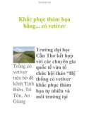 Khắc phục thảm họa bằng... cỏ vetiver