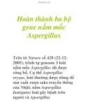 Hoàn thành ba bộ gene nấm mốc Aspergillus