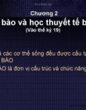 Bài giảng Sinh học đại cương: Chương 2 - Nguyễn Thị Diệu Hạnh