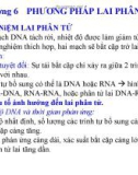 Chương 6: PHƯƠNG PHÁP LAI PHÂN TỬ