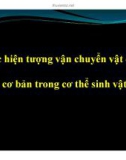 Bài giảng Các hiện tượng vận chuyển vật chất cơ bản trong cơ thể sinh vật