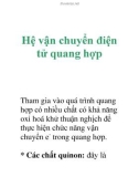 Hệ vận chuyển điện tử quang hợp