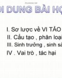 Kiến thức về Vi tảo