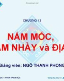 Bài giảng Sinh học đại cương A2: Chương 13 - Ngô Thanh Phong