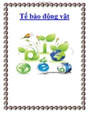 Tế bào động vật