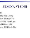 SEMINA VI SINH