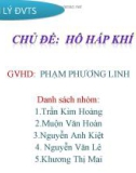 Hô hấp khí