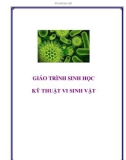 Giáo trình sinh học: Kỹ thuật vi sinh vật