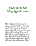 Tài liệu: Khảo sát tế bào bằng kẹp tóc nano