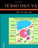 Bài giảng Tế bào thực vật - ThS. Vũ Vân Anh