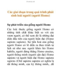 Các giai đoạn trong quá trình phát sinh loài người (người Homo)Sự phát triển