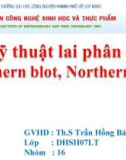 Kỹ thuật lai phân tử Southern blot, Northern blot