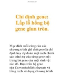 Chỉ định gene: Lấp lỗ hổng bộ gene giun tròn.