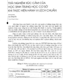 Trải nghiệm xúc cảm của học sinh trung học cơ sở khi thực hiện hành vi lệch chuẩn - Lưu Song Hà