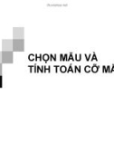 Bài giảng Chọn mẫu và tính toán cỡ mẫu