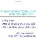 Bài giảng Tri thức và một số phương pháp biểu diễn tri thức - TS. Phạm Hạ Thủy