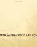 Bài giảng Adam Smith và phân công lao động -