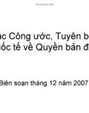 Các Công ước Tuyên bố về người bản địa