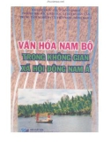 Đông Nam Á -Văn hóa Nam Bộ trong không gian xã hội